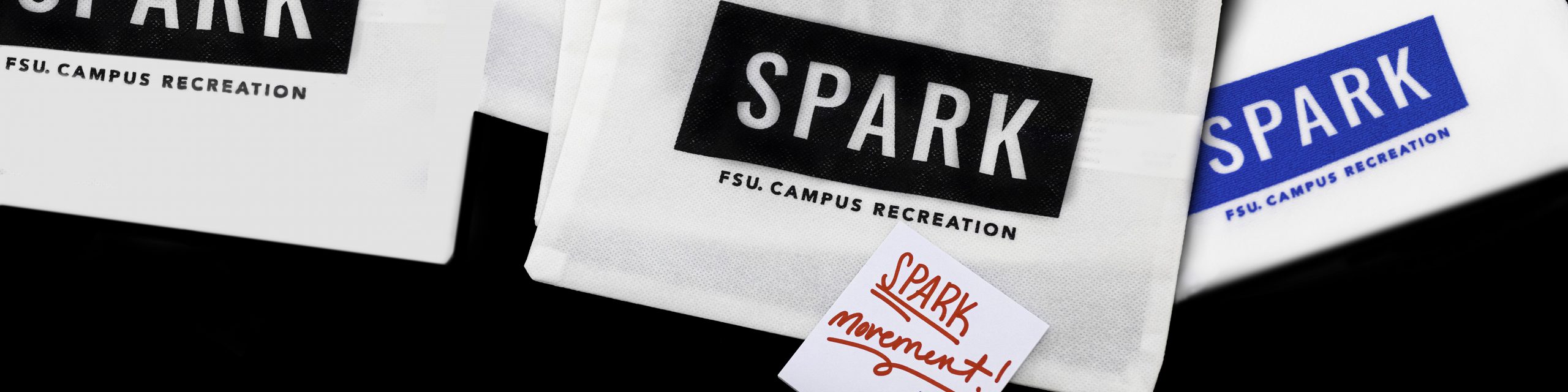 Spark Campaign – FSU Campus Recreation