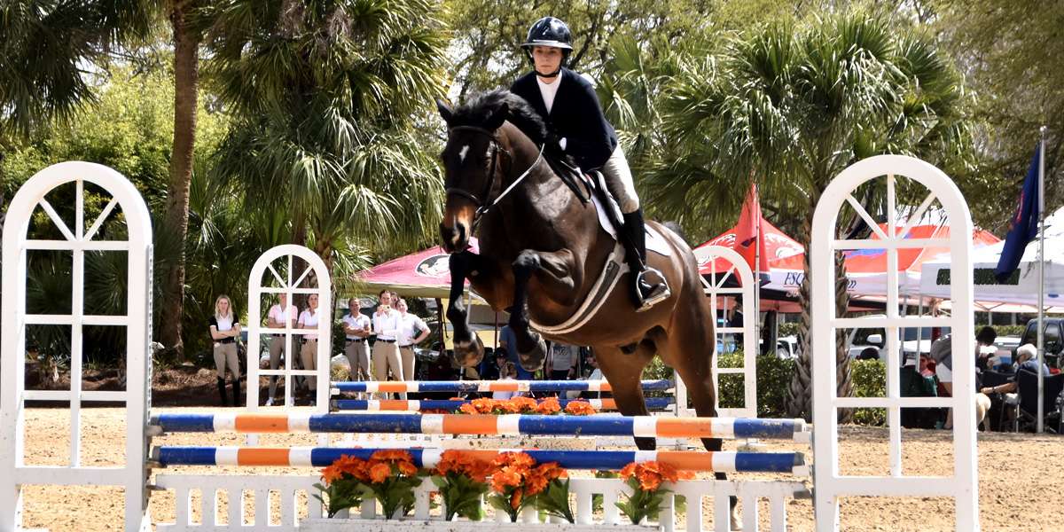 sc-equestrian-26a FSU Equestrian Club rider
